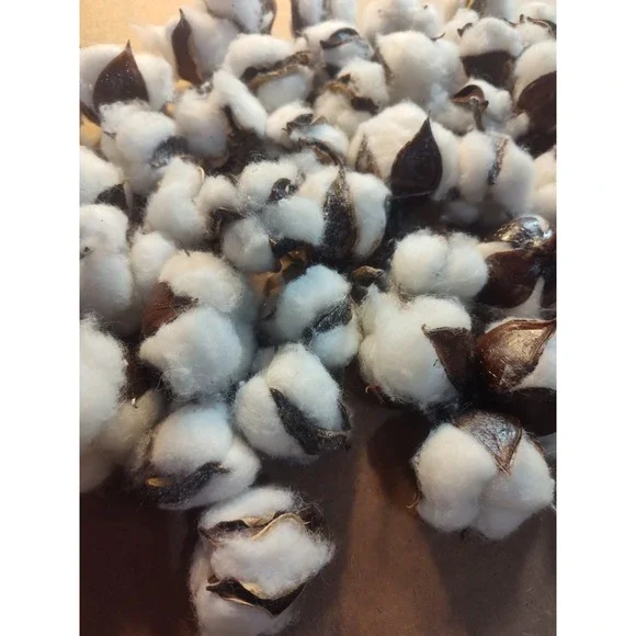 Real Cotton Balls Decor 40+ Pieces For Wreath Decor Cotton Bolls Balls‎ Natural - Picture 6 of 7